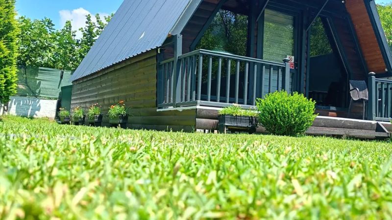 Sapanca Muus Lüks Havuzlu Bungalov Görsel 2